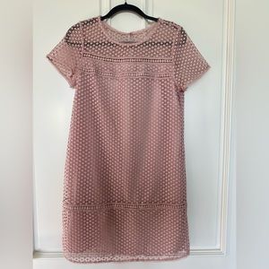 ANN TAYLOR Pink Lace Dress, Size 6
